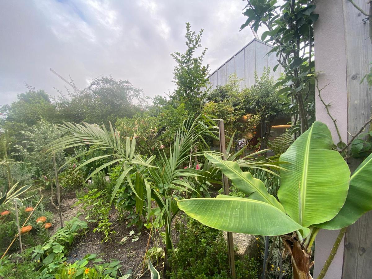 Koko Garden Apartment Porto Luaran gambar